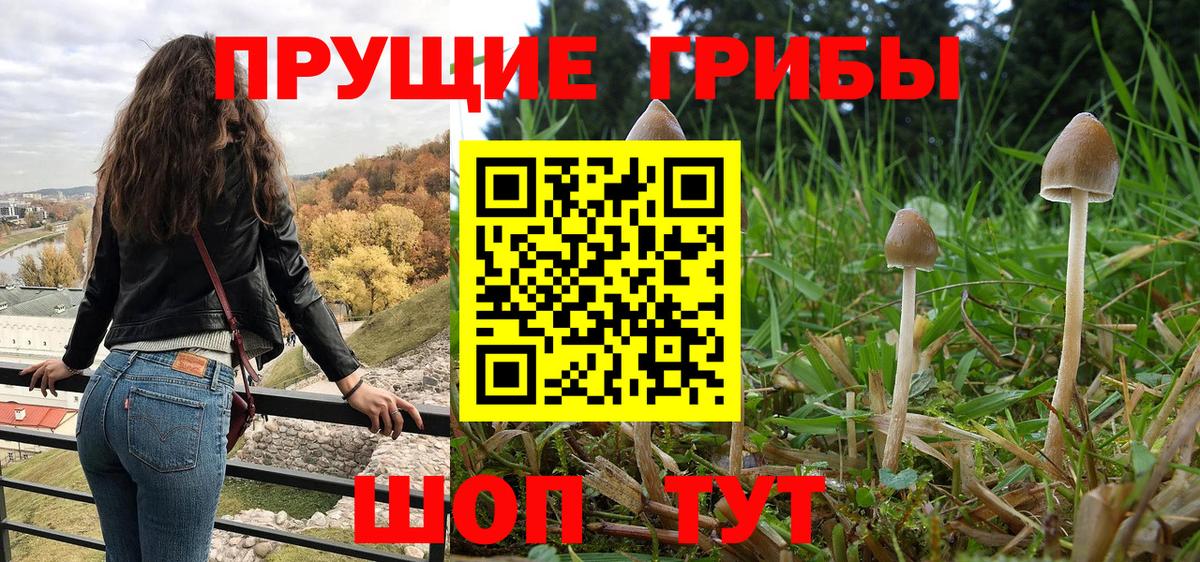 купить закладку  Галлюциногенные грибы ЛСД  Галлюциногенные грибы MAGIC MUSHROOMS  Вход с VPN  Черкесск 